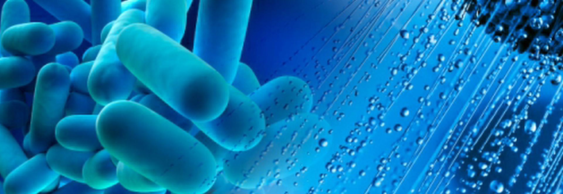 Legionella :